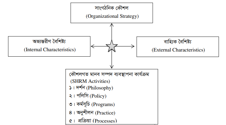 কৌশলগত মানব সম্পদ ব্যবস্থাপনার ৫-পি