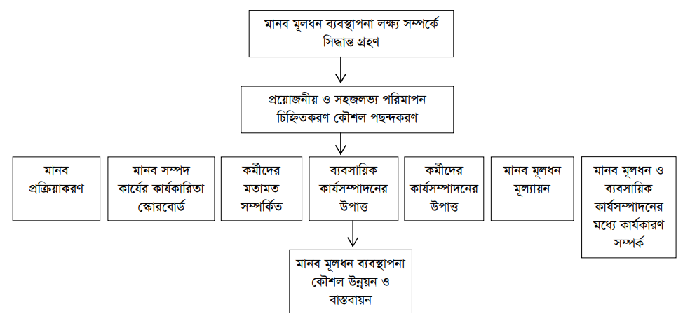 মানব মূলধন ব্যবস্থাপনার উদ্দেশ্য