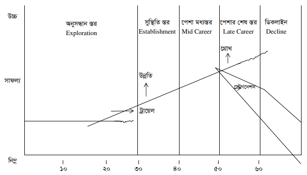 পেশার স্তরসমূহ