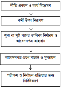 মানব সম্পদ সংগ্রহের পদক্ষেপ